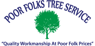 54d2bf0616c2a5d4538d9015_POOR-FOLKS-LOGO-final2.png